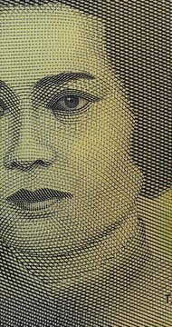 Detailed Closeups of Indonesian Banknote Designs. Indonesian banknotes fill detailed macro views, shifting across portraits, engraved patterns and colorful security designs. 