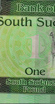 Close Up Sequence of Banknotes from African Countries. Macro views examine banknotes from various African countries, highlighting vivid colors and fine engraved artwork. Each currency note reveals dis