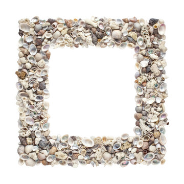 Decorative seashell frame png shell border png nautical photo frame png marine casing png beach frame png isolated on transparent background for summer vacation design projects