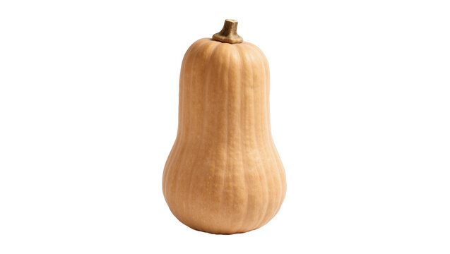 Whole butternut squash with ribbed texture, isolated on transparent background