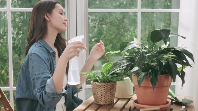 Happy young woman taking care of indoor plants at home.
