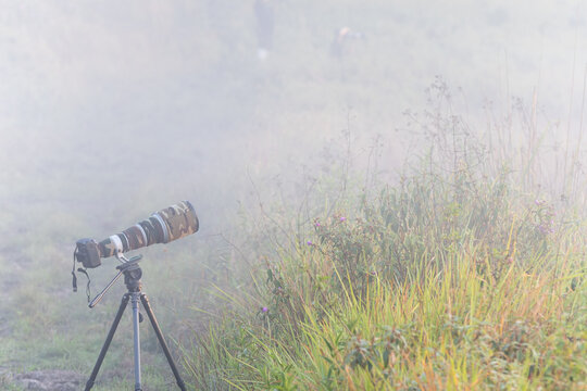 Camera with telephoto lens mounted on tripod standing in foggy grassy field
