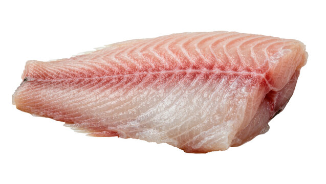 Raw tilapia fish fillet with pinkish red meat and white flesh, isolated on transparent background