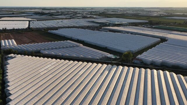 Aerial drone view of large scale agricultural plantations in Turkey, showing extensive greenhouses, farming tents and fruit crops across a warm Mediterranean landscape with organized fields.