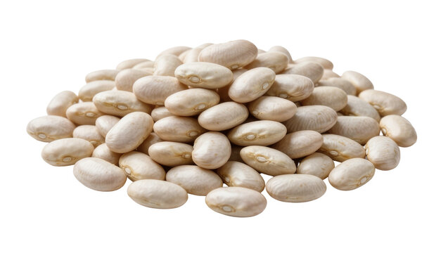 Pile of dried white cannellini beans, isolated on transparent background