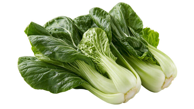 Fresh green bok choy cabbage heads with crisp white stalks and leafy foliage
