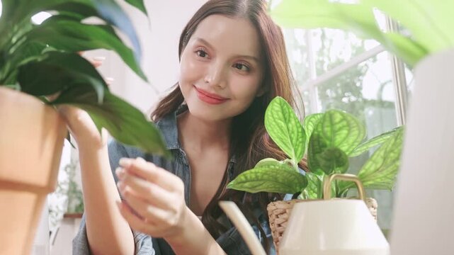 Happy young woman taking care of indoor plants at home.