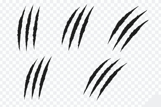Set of black claw scratch marks