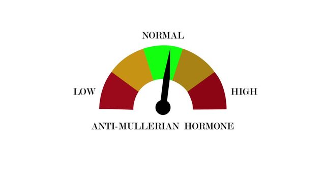 Anti-Mullerian Hormone AMH Level Gauge with Low Normal and High Range Medical Illustration.