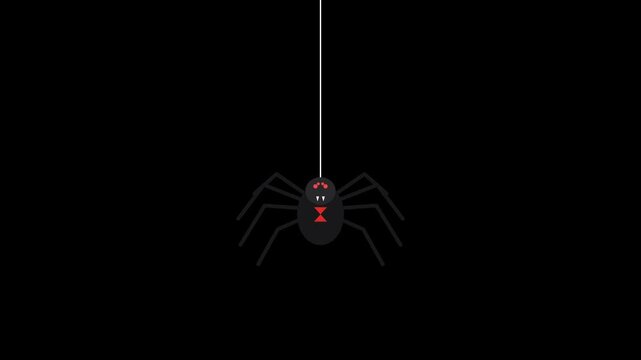 A flat vector style black spider drops down on a vertical silk thread, bounces elastically, and climbs back up against a transparent background