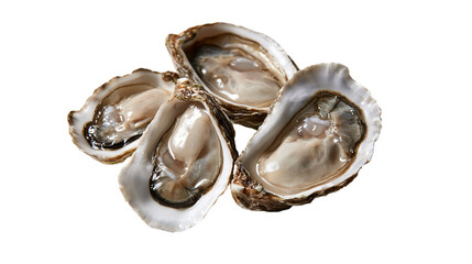 Fresh raw oysters on the half shell with moist glistening meat © Aisling