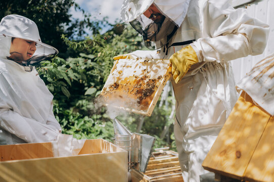 Father and son in protective suits inspect a honeycomb at the apiary