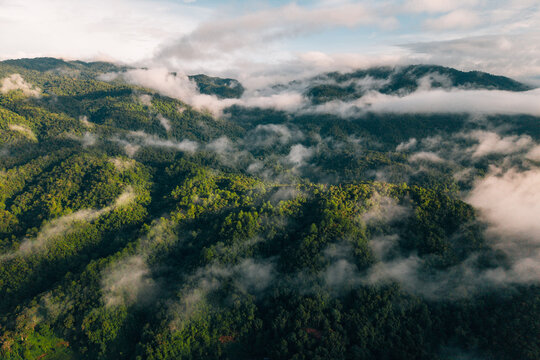 Aerial drone shot of tropical rainforest mountains covered in morning mist and fog.