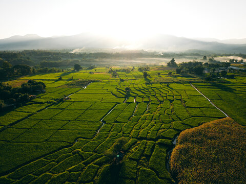 Farmer walking through green terraced rice fields at sunrise in a mountain valley.