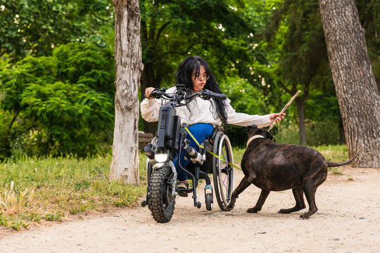 Woman in wheelchair playing fetch with dog outdoors in park