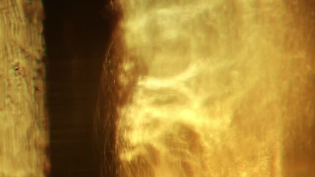 Warm sunlight refracts through a faceted crystal vase, casting flowing golden caustics and abstract glowing patterns in close-up.