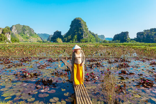 A young woman in a lotus field at dawn.