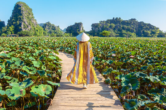 A young woman in a lotus field at dawn.