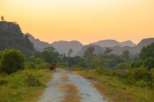 Picturesque karst landscape near Tam Coc village at sunset. Ninh Binh, Vietnam.