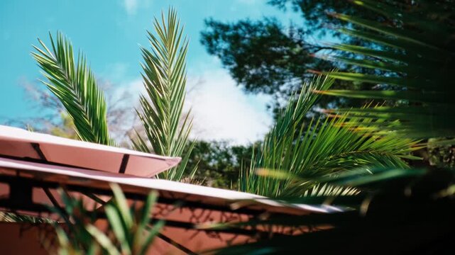 Low angle view of green palm tree leaves waving against a bright blue summer sky above a patio umbrella.