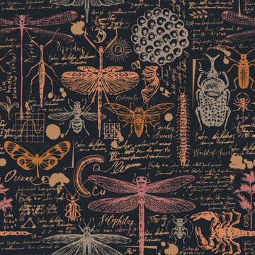 Seamless vintage vector pattern with insects, dragonflies, butterflies, beetles, scientific sketches and handwritten notes. Suitable for wallpaper, fabric, wrapping paper, packaging and scrapbooking.