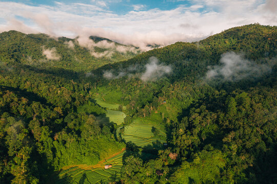 Aerial view of terraced rice fields in a valley surrounded by foggy mountains at sunrise in Southeast Asia.