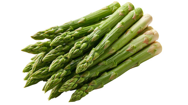 Fresh green asparagus spears bunch with edible tips and fibrous stalks