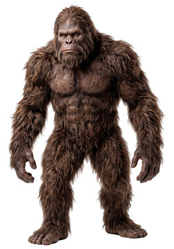 standing bigfoot sasquatch ape creature isolated on transparent background