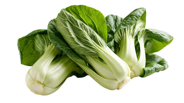Fresh green bok choy cabbage heads with crisp white stalks and vibrant leaves