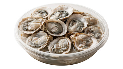 Fresh raw oysters in shells packed in a clear plastic container © Asmud