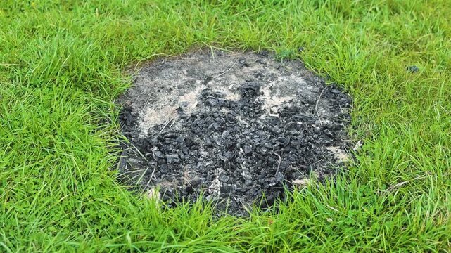 A circular patch of scorched grass shows darkened earth surrounded by healthy green grass. The area appears dry with remnants of burnt grass and minimal vegetation, indicating a possible fire
