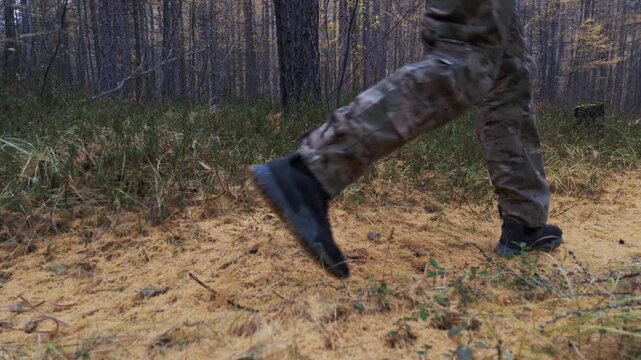 A small brown and white dog in a red harness runs across a forest floor of dry pine needles, followed by a person in camouflage pants and black boots walking through the same area.