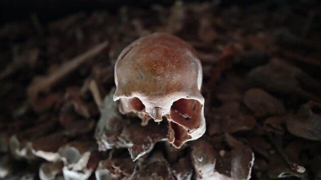 A lone human skull sits in sharp focus atop a mass of bones inside the dim underground ossuary.
