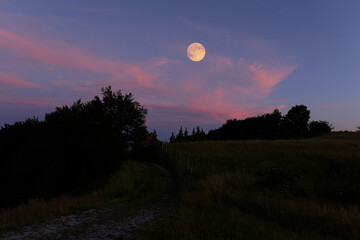 Full Moon on a twilight sky with countryside silhouettes. © astrosystem