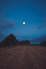 Full Moon, stars and planets above landscape silhouettes in blue hour time. © astrosystem