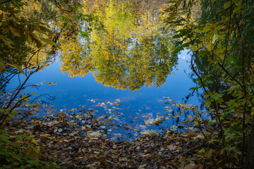 Autumn leaves drift gently on still, reflective water © molakaliva