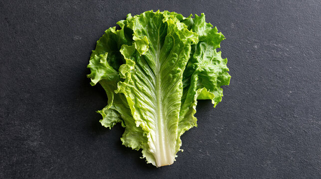Lettuce leaf green vegetable food fresh salad organic texture healthy Lettuce leaf green vegetable food fresh salad organic texture healthy natural detail on dark stone background
