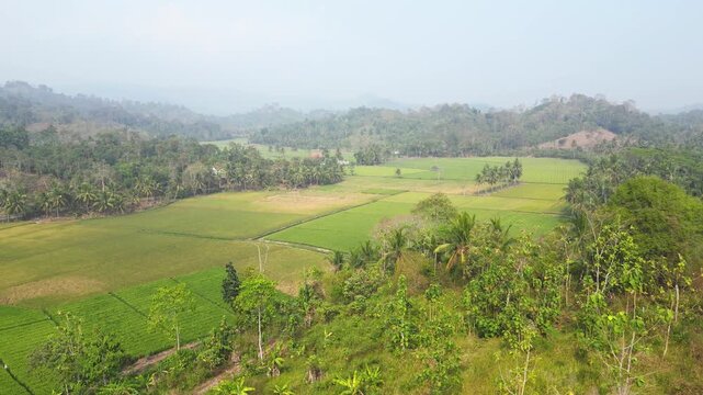 Epic drone forward tracking shot flying from a lush green hill over a panoramic valley filled with vibrant paddy field terraces on a clear morning.
