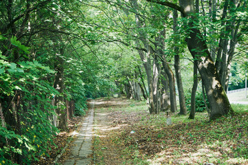 wąski chodnik  © Marcin Łazarczyk