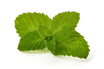 Fresh Green Mint Leaves on White Background © GSDesign