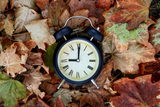 Daylight saving time and seasonal change, vintage alarm clock showing nine oclock resting on a bed of dry autumn maple leaves in a park