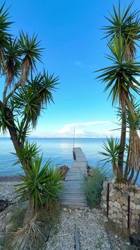 wooden pier with palms on a beach in greek