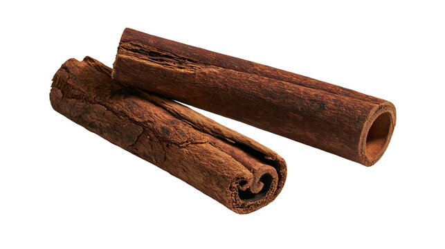 Two aromatic brown cinnamon sticks with rough textured bark surface