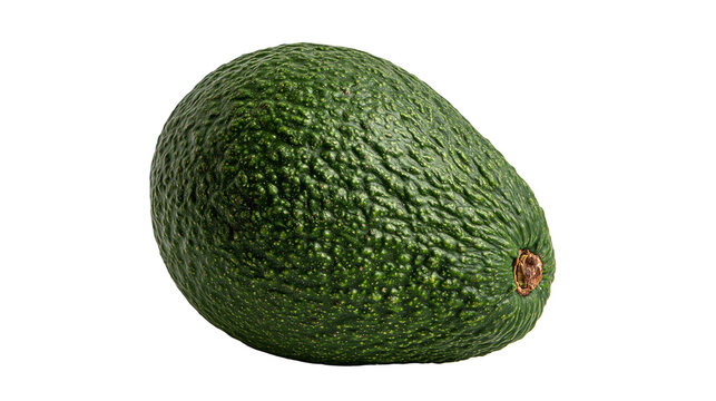 Ripe whole Hass avocado with dark bumpy skin and green texture