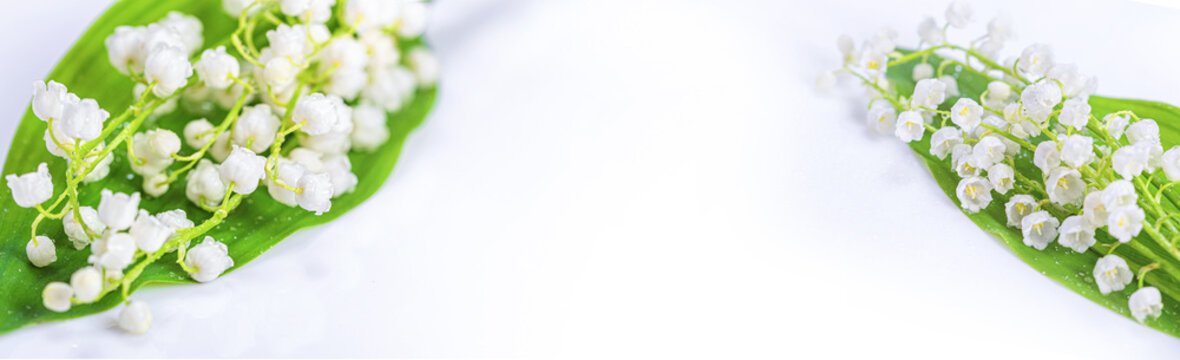 Lily of the valley, blooming spring white flowers, selective focus, banner with free space for text. Horizontal background, close up