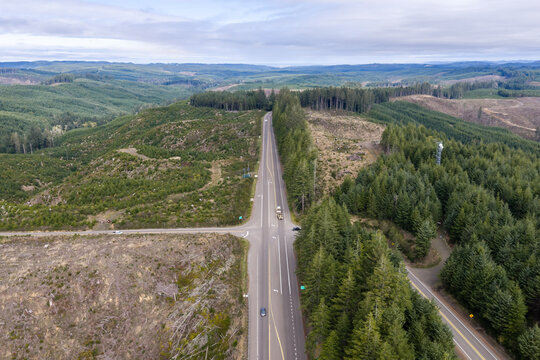 Aerial view of a road passing through a landscape with coniferous forest and areas of deforestation clear-cuts under a cloudy sky in Bandon, OR, United States.