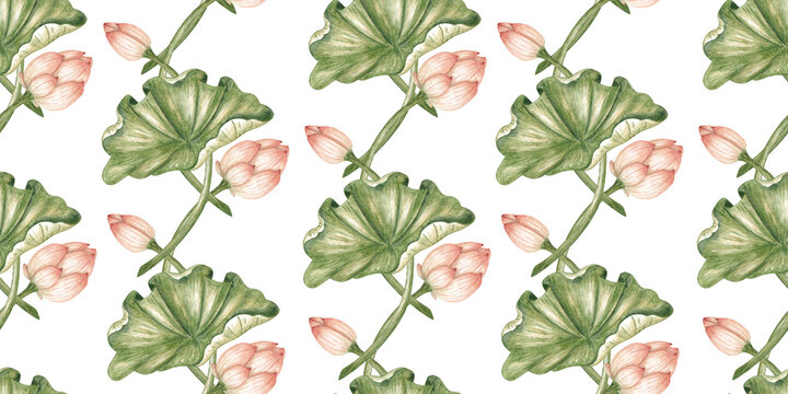 Lotus buds and leaves in a watercolor pattern, isolated from background. Botanical design for fabric, wallpaper, stationery, packaging, invitations and scrapbooking.