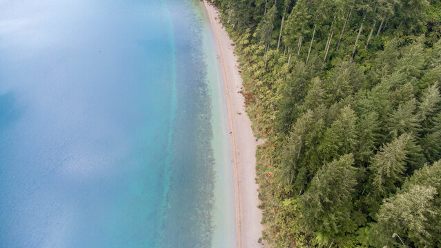 Aerial view of Lake Tikitapu with its clear blue water and sandy beach bordered by dense native forest in Rotorua, Bay of Plenty Region, New Zealand.