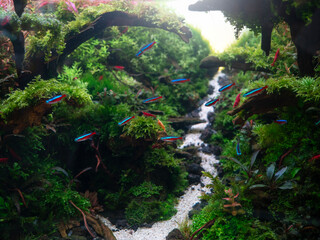 Beautiful planted tropical freshwater aquarium with fishes. © apisitwilaijit29
