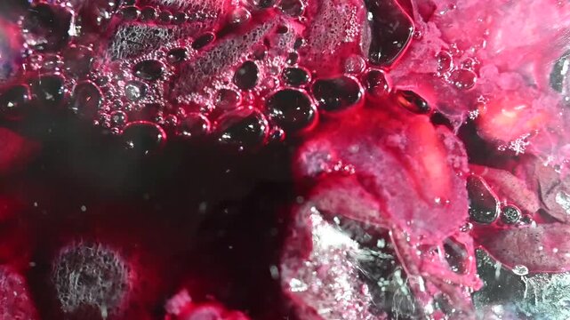 Grapes undergoing fermentation in a glass carboy. Carbon dioxide release during winemaking.
